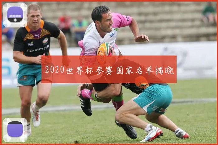 2020世界杯参赛国家名单揭晓